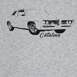 1969 Catalina Three Quarter Angle View With Model Name Light Color T S