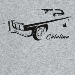 1970 Catalina Three Quarter Angle View With Model Name Light Color T S