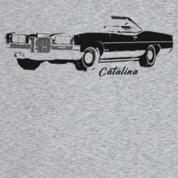1971 Catalina Three Quarter Angle View With Model Name Light Color T S