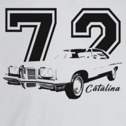 1972 Catalina Three Quarter Angle View With Year And Model Name Light 