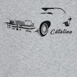 1973 Catalina Three Quarter Angle View With Model Name Light Color T S