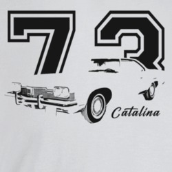 1973 Catalina Three Quarter Angle View With Year And Model Name Light 