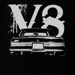 1984 BUICK GRAND NATIONALFaded Look Rear View White Graphic With V8 Da