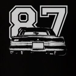 1984 BUICK GRAND NATIONALFaded Look Rear View White Graphic With Year 