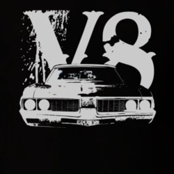 1969 OLDSMOBILE 442 Faded Look Grill View White Graphic With V8 Dark T