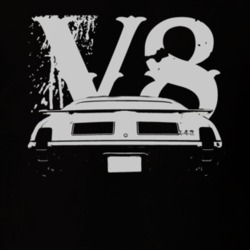 1969 OLDSMOBILE 442 Faded Look Rear View White Graphic With V8 Dark T 