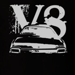 1971 OLDSMOBILE 442 Faded Look Rear View White Graphic With V8 Dark T 