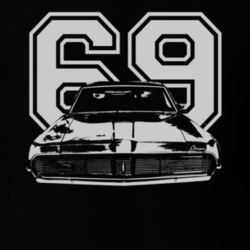 1969 MERCURY COUGAR ELIMINATOR Faded Look Grill View White Graphic Wit