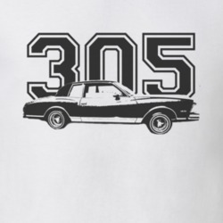 1978 Chevy Monte Carlo Faded Look Side View With Engine Size Black Gra