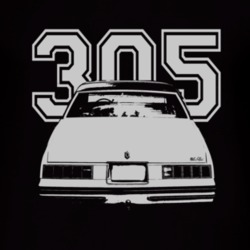 1978 Chevy Monte Carlo Faded Look Rear View White Graphic With Engine 