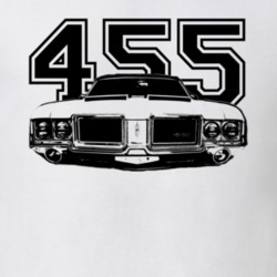 1971 OLDSMOBILE 442 Grill View Black Graphic With Engine Size Light T 