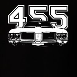 1971 OLDSMOBILE 442 Grill View  White Graphic With Engine Size Dark T 