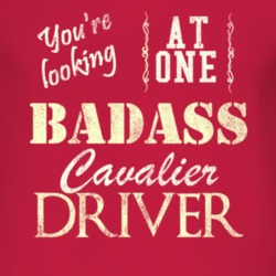 You Are Looking At One Badass Chevy Cavalier Driver Distressed Look Da