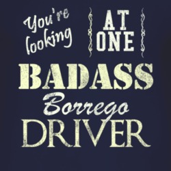 You Are Looking At One Badass Chevy Borrego Driver Distressed Look Dar