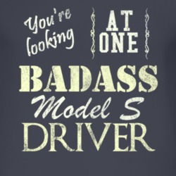 You Are Looking At One Badass Model S Driver Distressed Look Dark T Sh