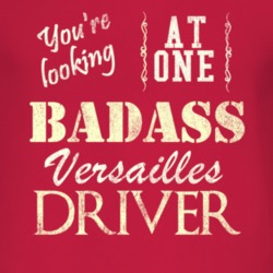 You Are Looking At One Badass Lincoln Versailles Driver Distressed Loo