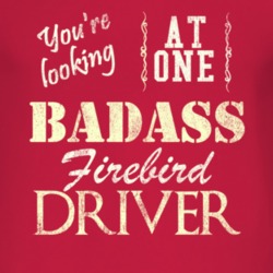 You Are Looking At One Badass Pontiac Firebird Driver Distressed Look 