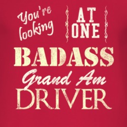 You Are Looking At One Badass Pontiac Grand Am Driver Distressed Look 