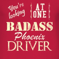 You Are Looking At One Badass Pontiac Phoenix Driver Distressed Look D