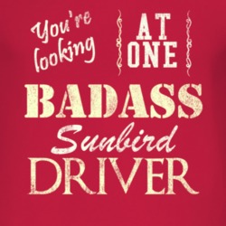 You Are Looking At One Badass Pontiac Sunbird Driver Distressed Look D