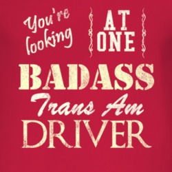 You Are Looking At One Badass Pontiac Trans Am Driver Distressed Look 