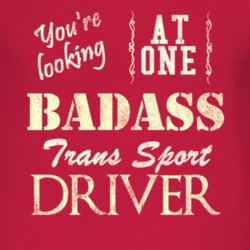 You Are Looking At One Badass Pontiac Trans Sport Driver Distressed Lo