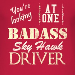 You Are Looking At One Badass Studebaker Sky Hawk Driver Distressed Lo