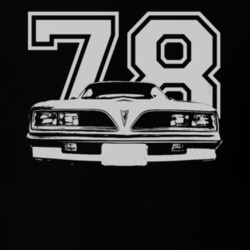 Jim Rockford 1978 Pontiac Firebird Esprit Grill View White Graphic T S