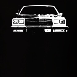 1985 Buick LeSabre Grill View Dark Shirt