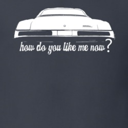 How Do You Like Me Now 1968 Wildcat Shirt