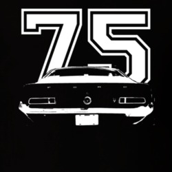 1975  MAVERICK GRABBER Rear View With Year Dark Shirt