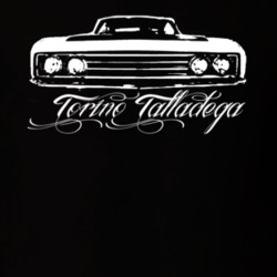 1969  TORINO  TALLADEGA Grill View With Model Dark Shirt