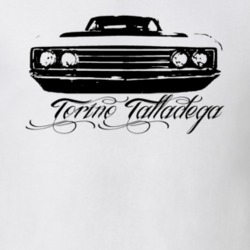 1969  TORINO  TALLADEGA Grill View With Model Light Shirt
