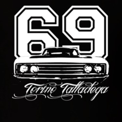 1969  TORINO  TALLADEGA Grill View With Year And Model Dark Shirt