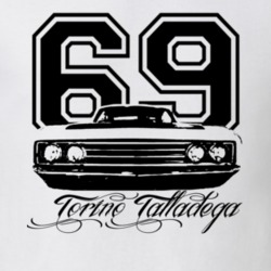 1969  TORINO  TALLADEGA Grill View With Year And Model Light Shirt