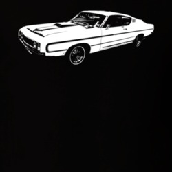1969  TORINO  TALLADEGA Side View Dark Shirt