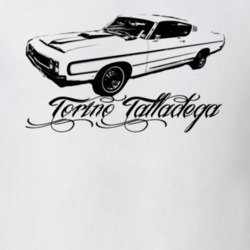 1969  TORINO  TALLADEGA Side View With Model Light Shirt