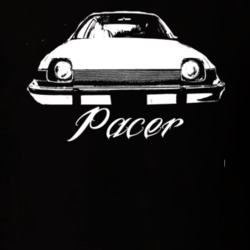 1975 AMC Pacer Grill View With Model Dark Shirt
