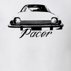 1975 AMC Pacer Grill View With Model Light Shirt