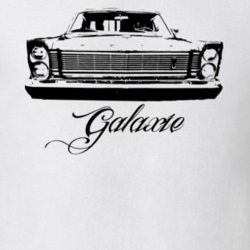 1965  GALAXIE Grill View With Model Name Light Shirt