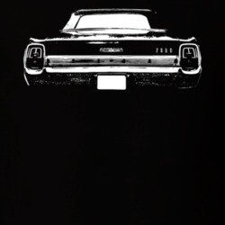 1967  GALAXIE Rear View Dark Shirt
