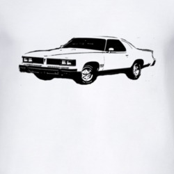 1977 PONTIAC CAN AM Side  View Light Shirt