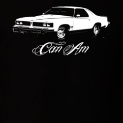 1977 PONTIAC CAN AM Side View Model Dark Shirt
