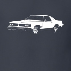 1977 PONTIAC CAN AM Side View Dark Shirt