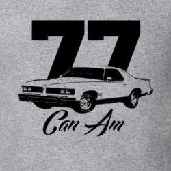 1977 PONTIAC CAN AM Side View Year Model Light Shirt