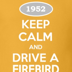 Keep Calm and Drive A Firebird Gold Funny T Shirt