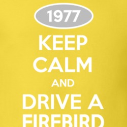 Keep Calm And Drive A 1977 Firebird Daisy T Shirt