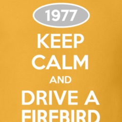 Keep Calm And Drive A 1977 Firebird Gold T Shirt