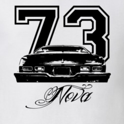 1973 Chevy Nova Faded Look Rear View Year Model Light Shirt