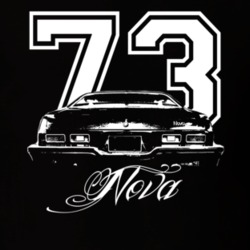 1973 Chevy Nova Faded Look Rear View Year Model Dark Shirt